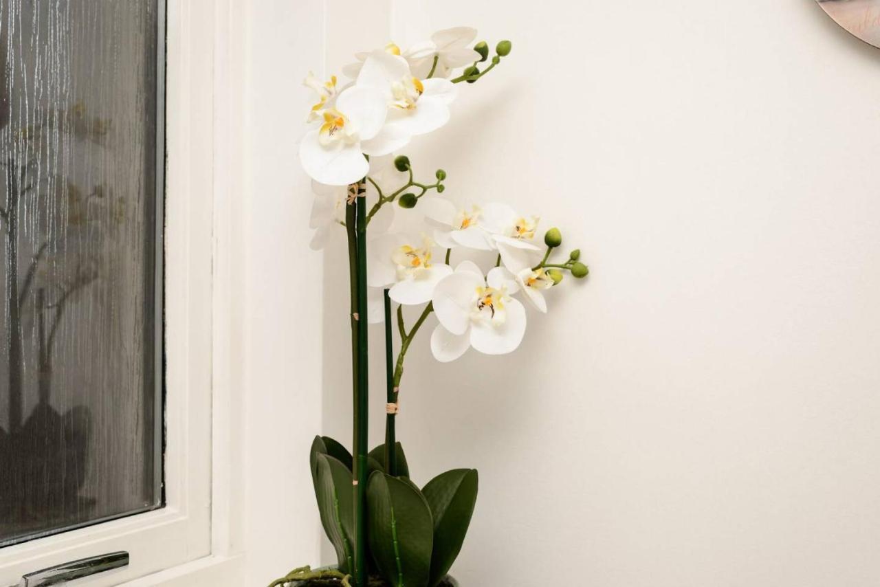 Altido Lovely Apartment For 4 With Free Parking エディンバラ エクステリア 写真